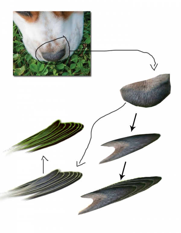 Creation of Breeze of Dawn: Step 3